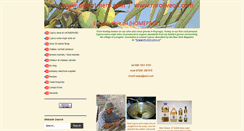 Desktop Screenshot of planetmem.com