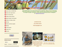 Tablet Screenshot of planetmem.com
